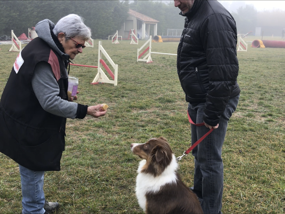 Ollie en apprentissage du "Pas Toucher" 2019