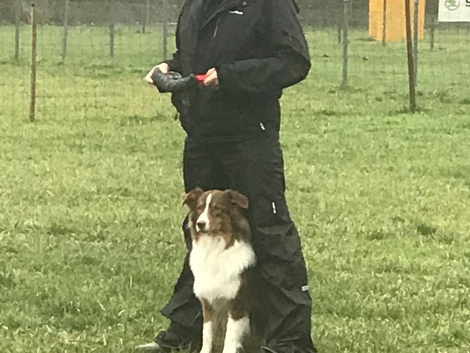 Quelle place l’humain doit-il prendre auprès de son chien ?