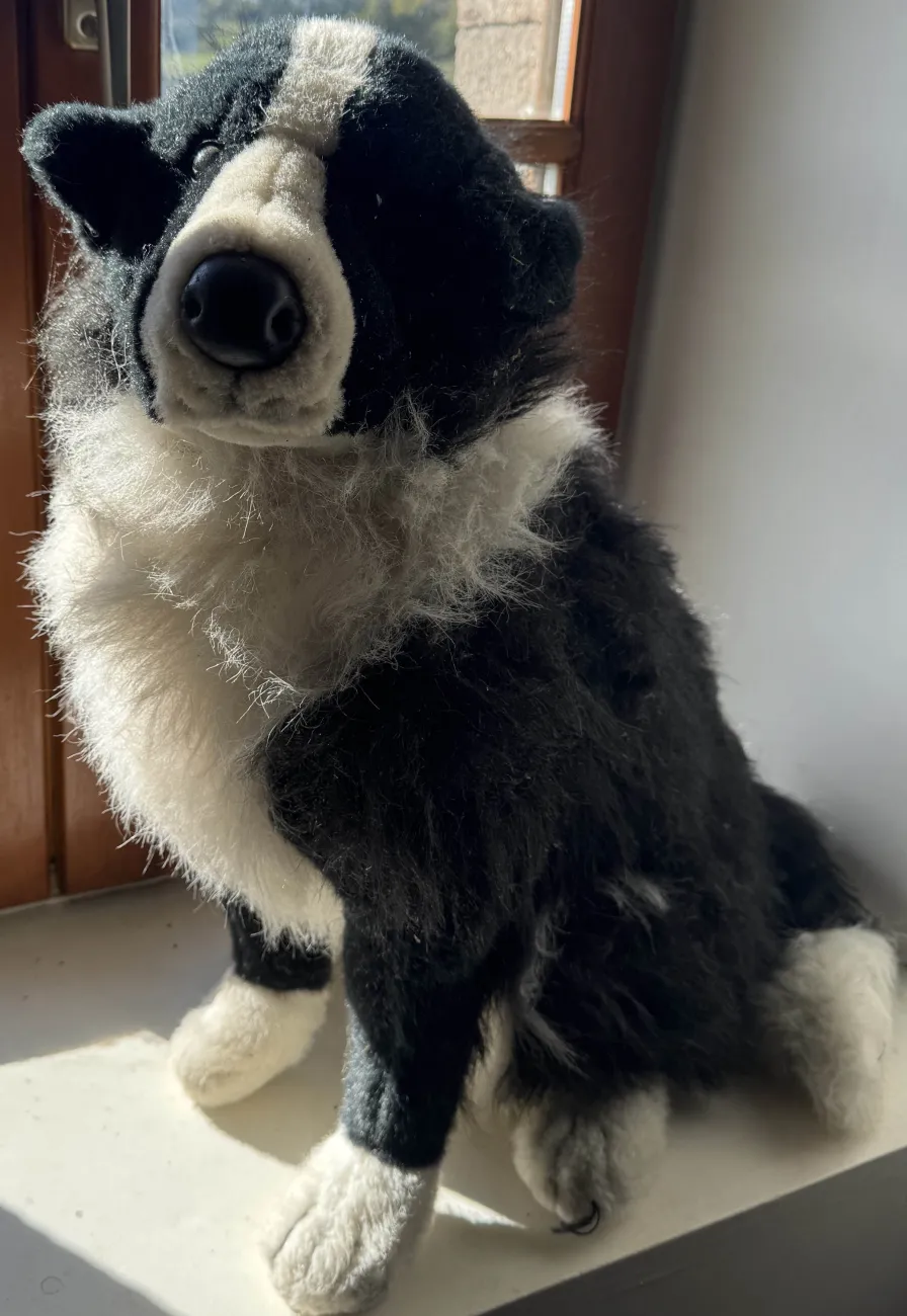 Mascotte, la peluche chien pour les ateliers de prévention