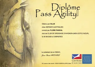 Pass Agility : En binôme Ollie & Pascal Flork