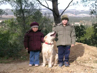 Uzi, le premier chien (Golden Retriever) à intégrer notre famille.