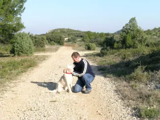 Le Golden retriever est un chien aussi fidèle que remplit d'énergie.