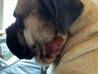 Hotspot Odin, Septembre 2023