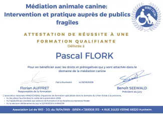 Certification Mediation Animale Canine - Handi'Chiens 2026
