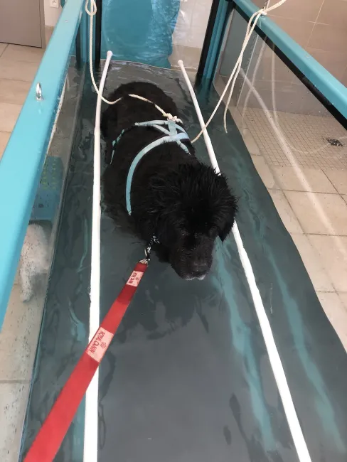 Bahia 11 ans, Séance d'Hydro Training