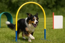 Le Hoopers : activité douce, ludique, de renforcement du lien