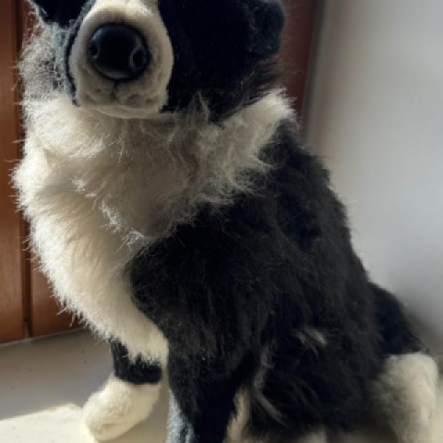 Mascotte, la peluche chien pour les ateliers de prévention