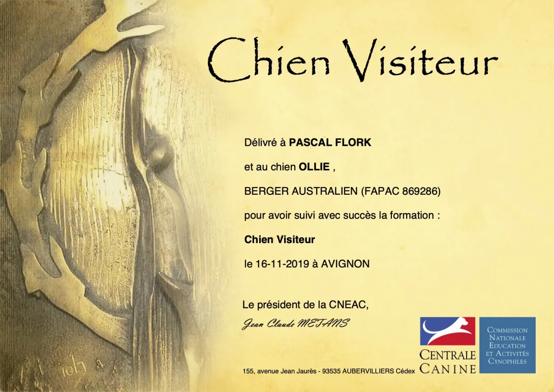 Chien Visiteur : Ollie en binôme avec Pascal Flork 2019