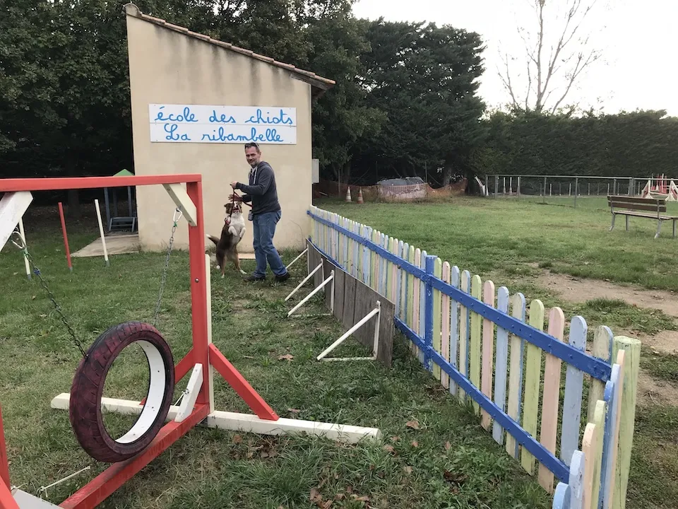 Ollie & pascal à l'école des chiots
