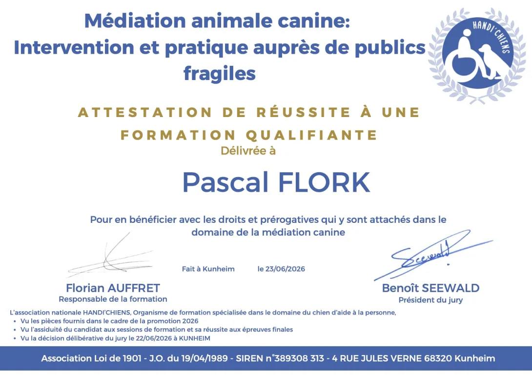 Certification Mediation Animale Canine - Handi'Chiens 2026