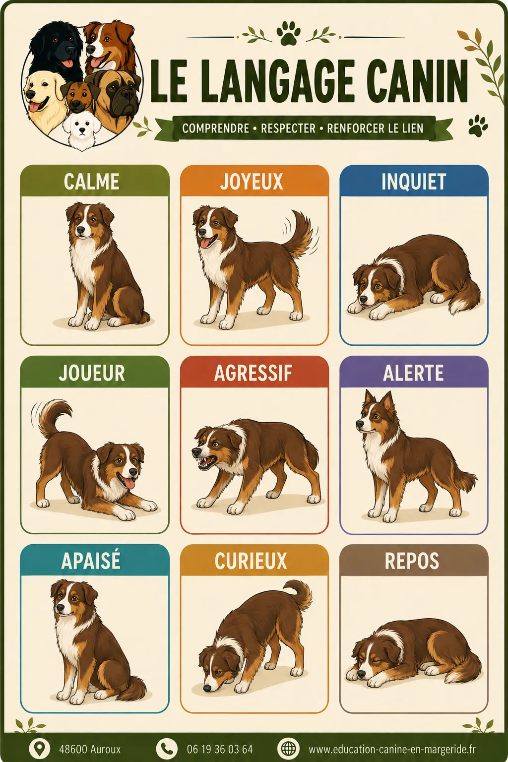 Le langage canin, expression des émotions canines.