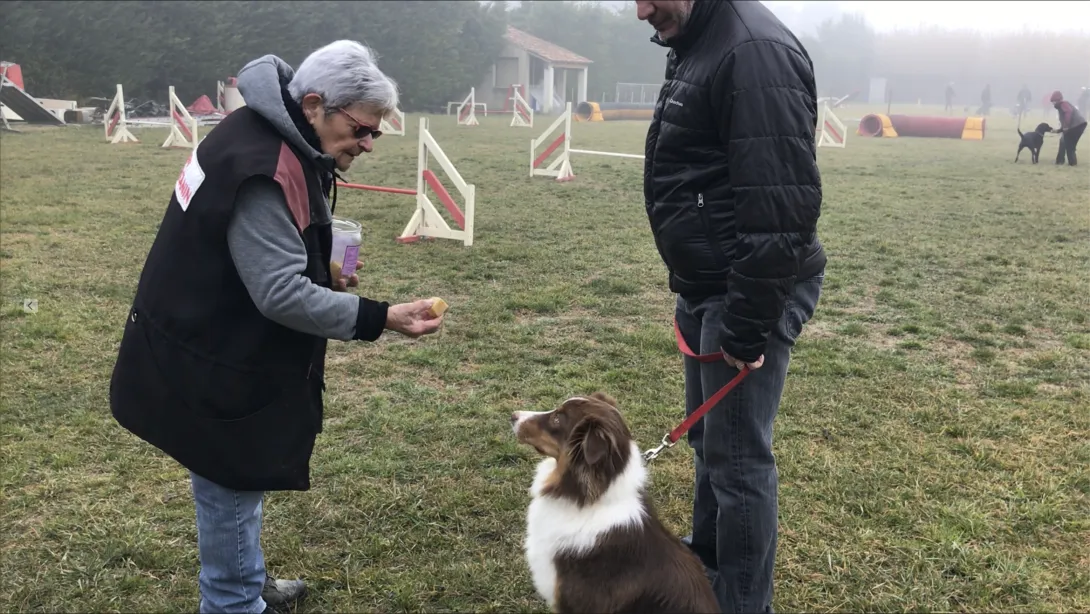 Ollie en apprentissage du "Pas Toucher" 2019